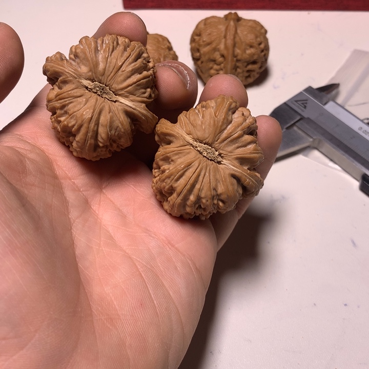 把件文玩核桃F****籽白狮子