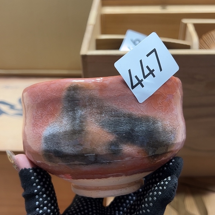 茶宠我的小可爱们都好棒啊