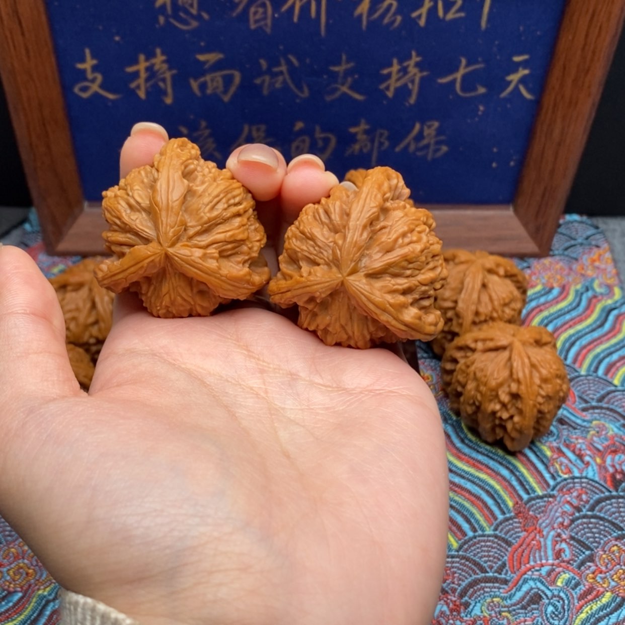 【闪购商品】孰**重白狮