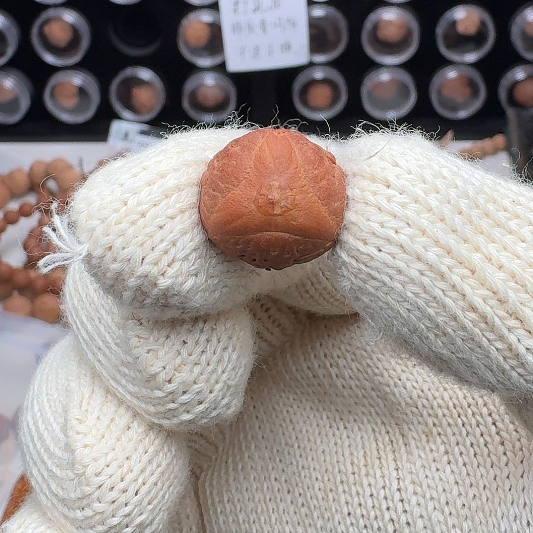 凤眼菩提吊坠泰坦龙眼