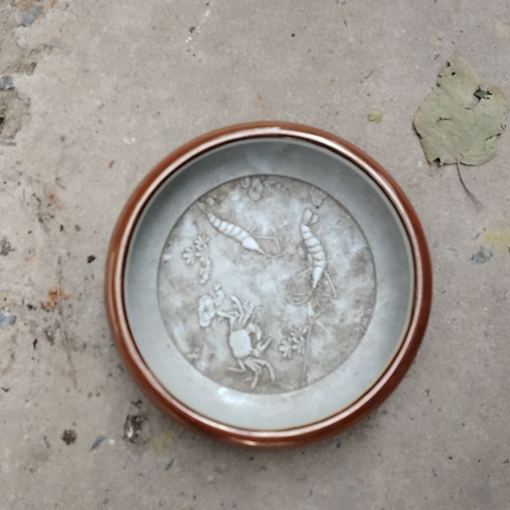 盖碗抖*瓷器活动，我们班的人，我