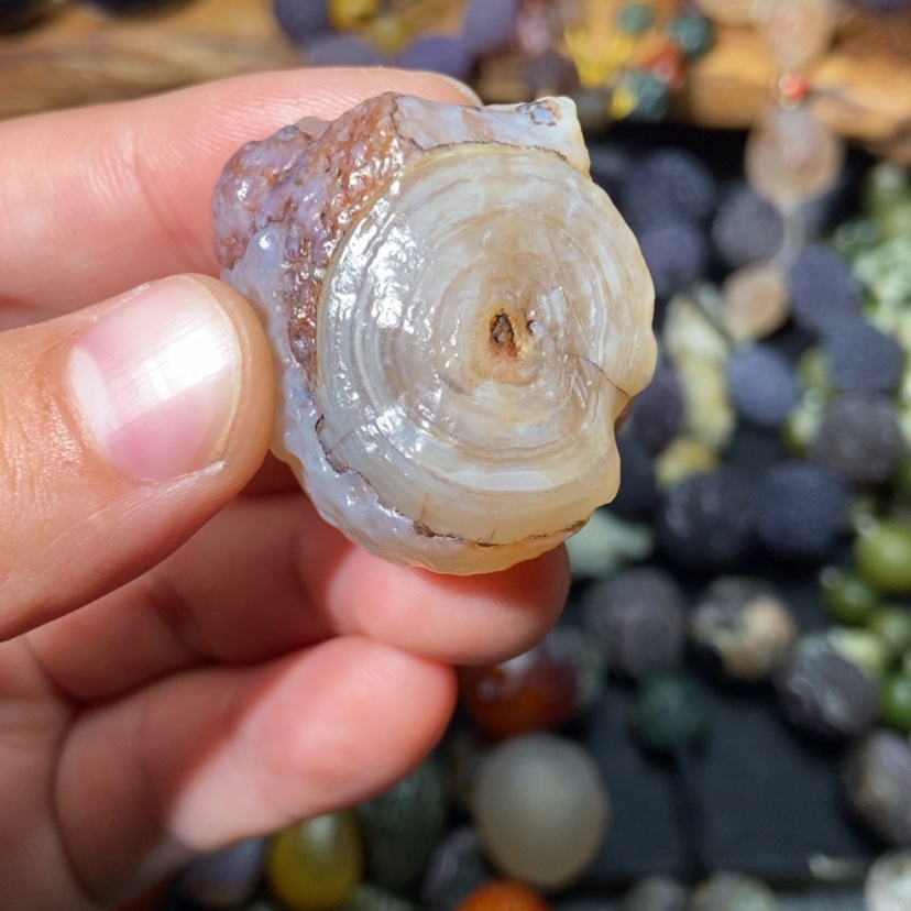 【闪购商品】玛瑙/玉髓颈饰合金