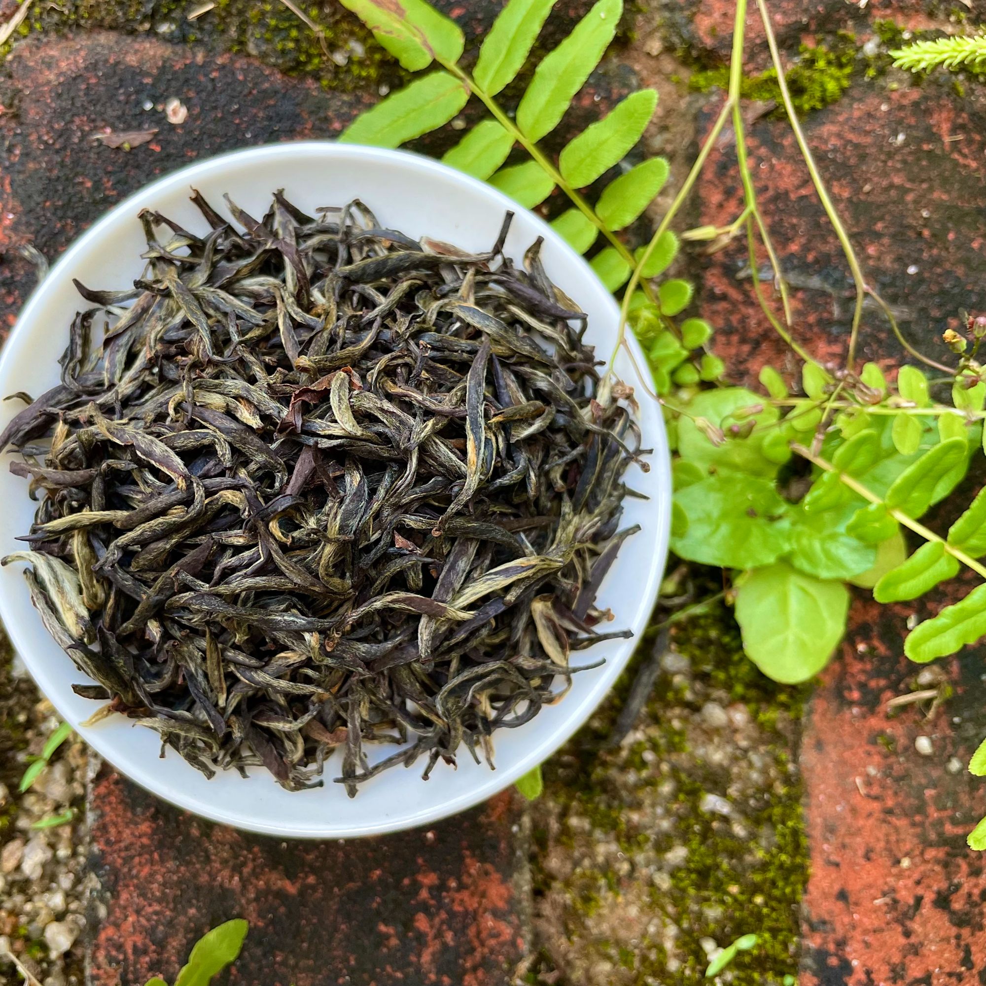 【菜茶】明前菜茶金骏眉花蜜香武夷山红茶回甘甜润花蜜香