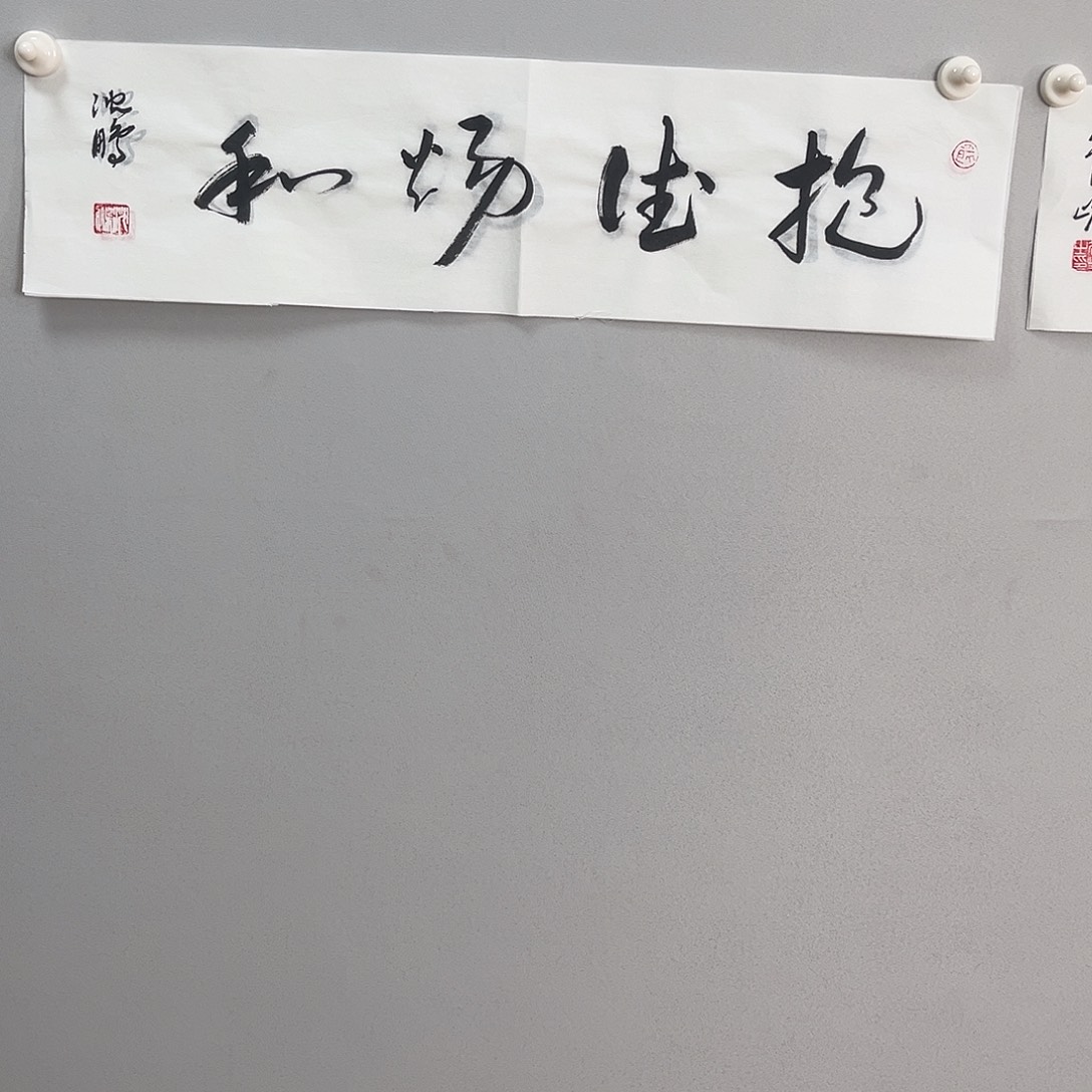 书法沈老师书法作品