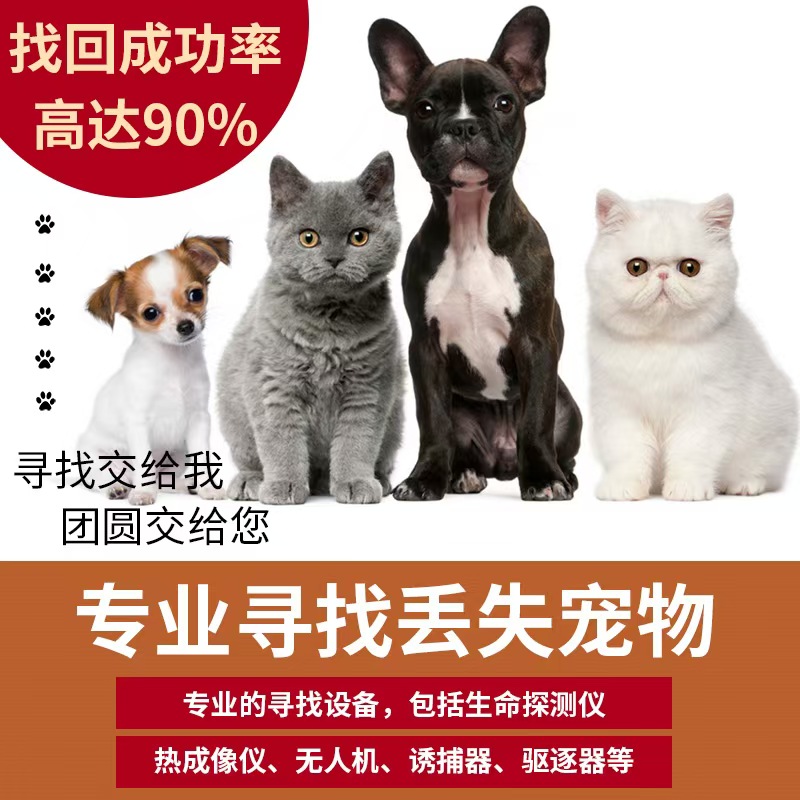找猫咪服务找狗狗寻猫团队寻狗宠物救援公司宠物侦探寻找宠物搜救