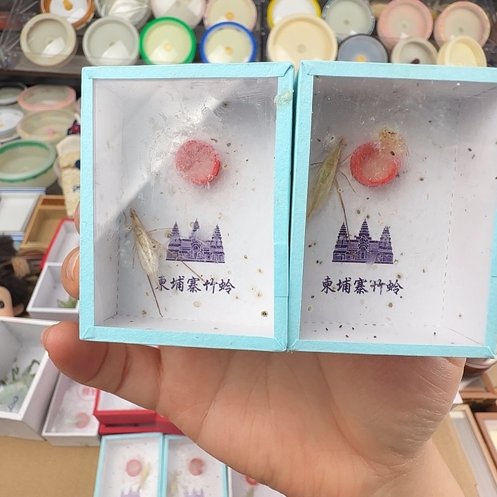 蟋蟀饺子……竹蛉2只柬埔寨