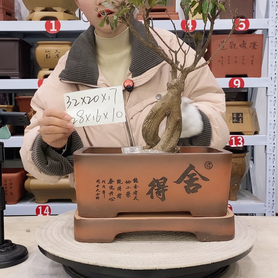 紫砂花盆紫砂花盆