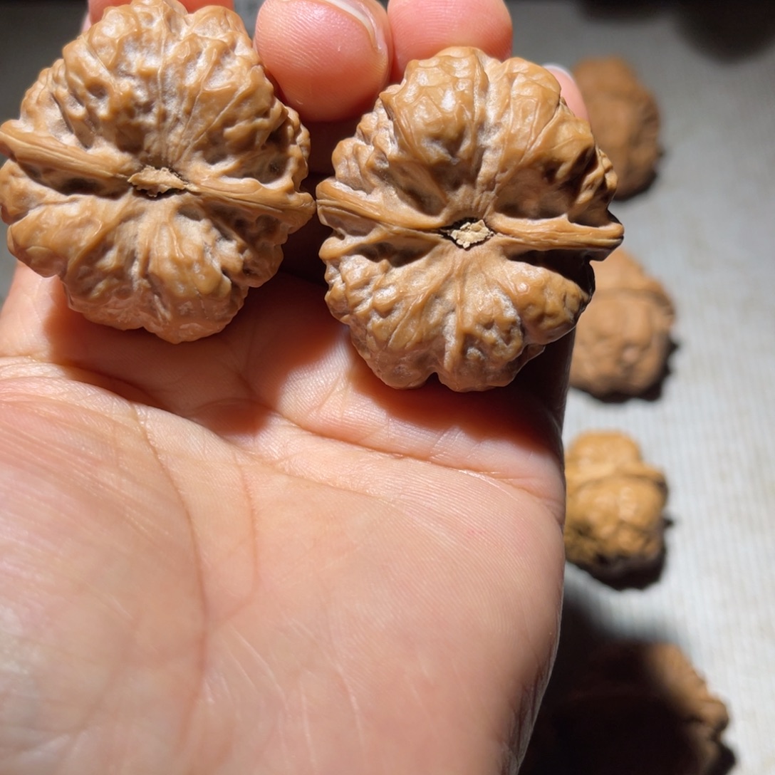 1***零文玩核桃吊坠38昌平蛤蟆头直播间选购