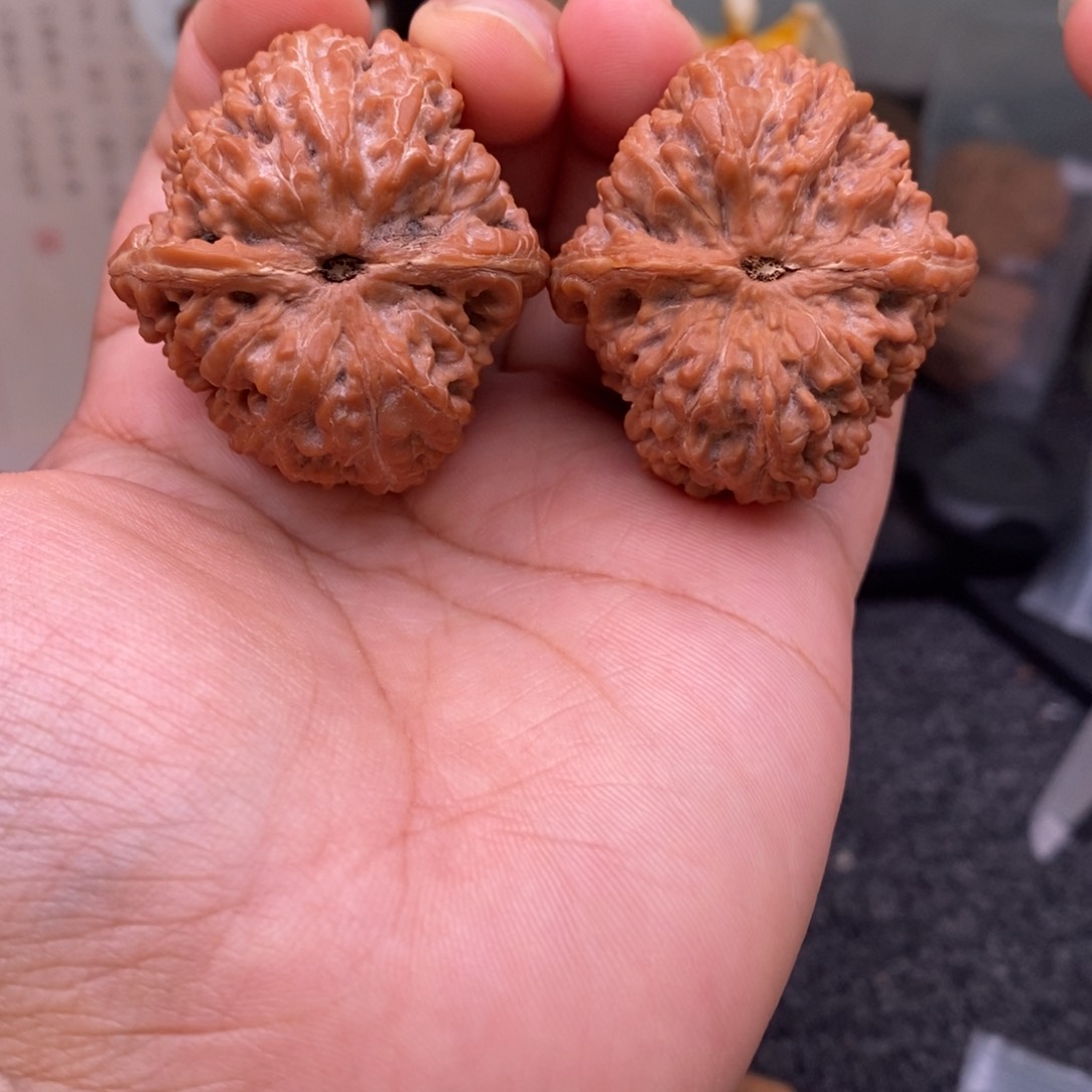 文玩核桃把件38大蒜头