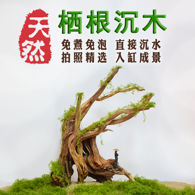 沉木紫柚木爬宠木乌龟晒台鱼缸造景插花微景观水陆缸雨淋根雕摆件