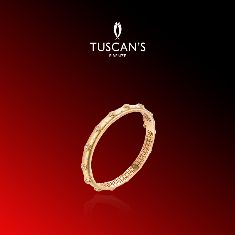 TUSCAN'S 铜合金合成锆石手镯 轻奢气质百搭复古拉丝镶钻手镯时代