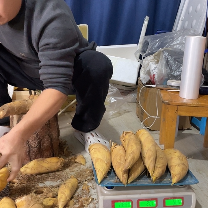 中国大陆阿木哥现挖冬笋5斤装