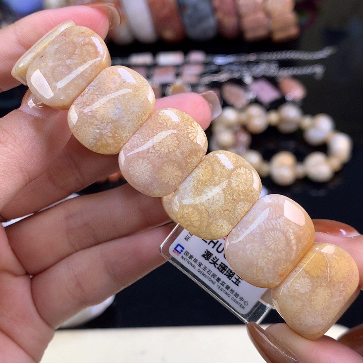 【闪购商品】颈饰未镶嵌硅化珊瑚（珊瑚玉）福利手牌12号