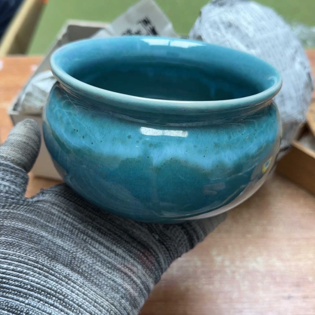 茶宠三年内要达到四年