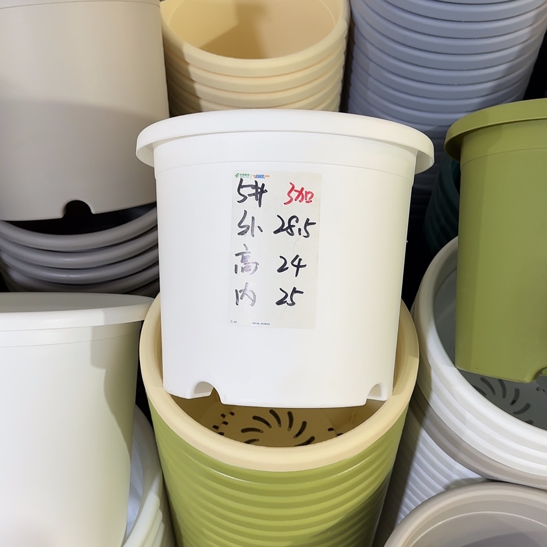 微瑕5号200个无托，白色