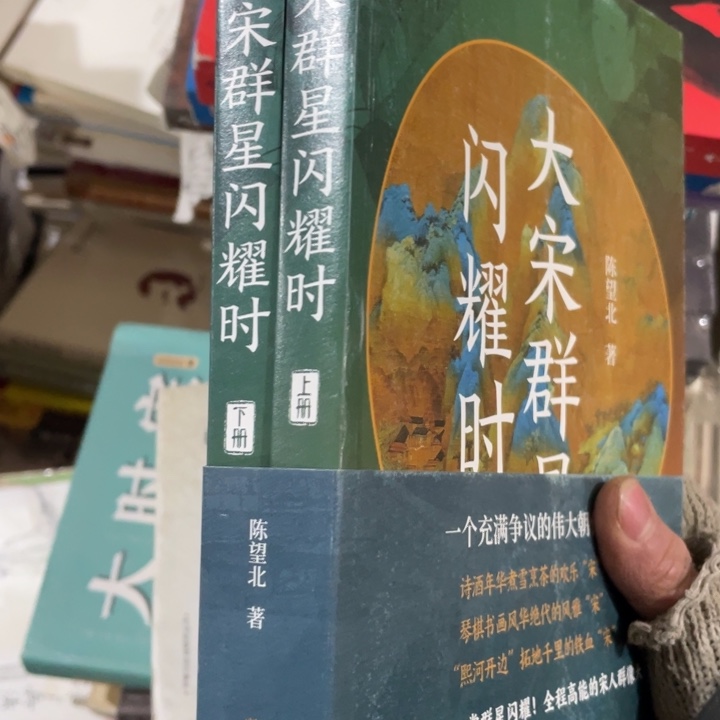 大宋群星闪耀时全两册