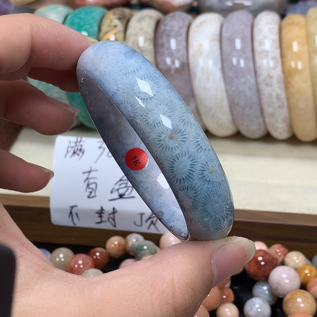 未镶嵌手串硅化珊瑚（珊瑚玉）032