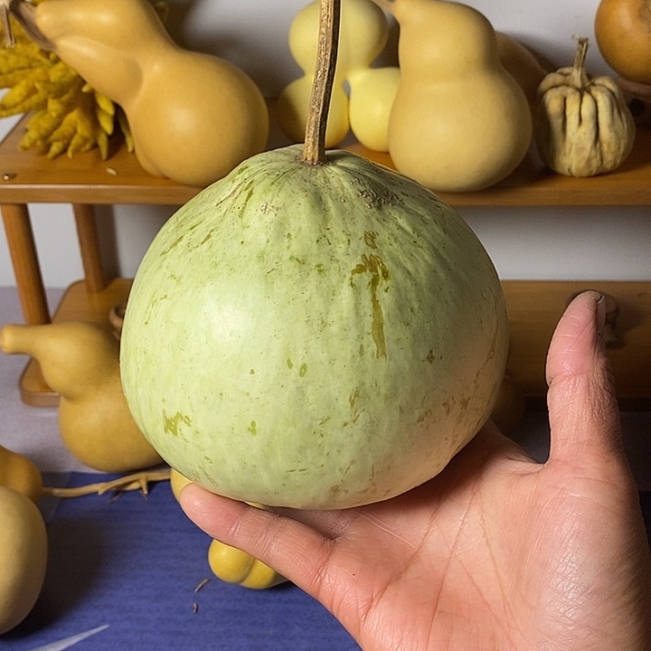 荣***哥青皮葫芦手把件摆件