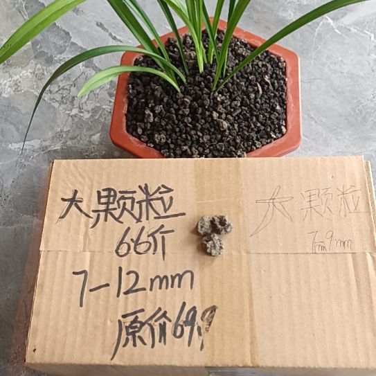 湫***夜兰菌黑山土大颗粒6.6斤