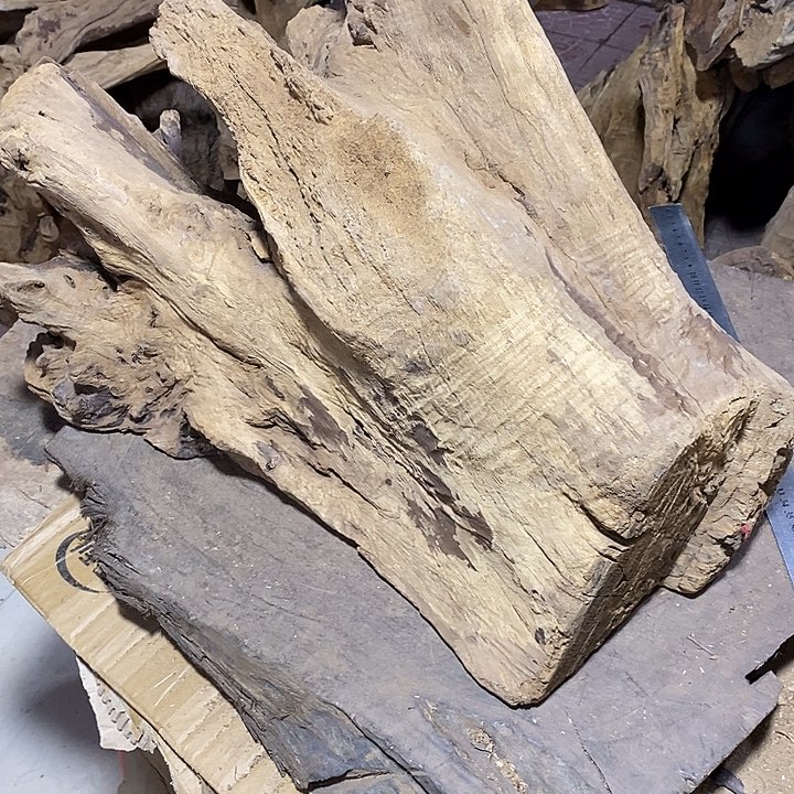 乌木类金丝楠木小叶