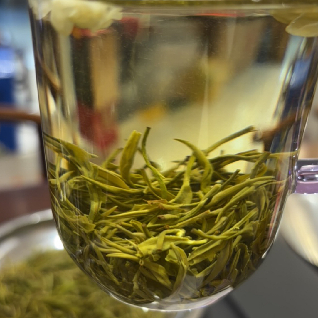 高山浓香型茉莉花茶新茶耐泡口感醇厚