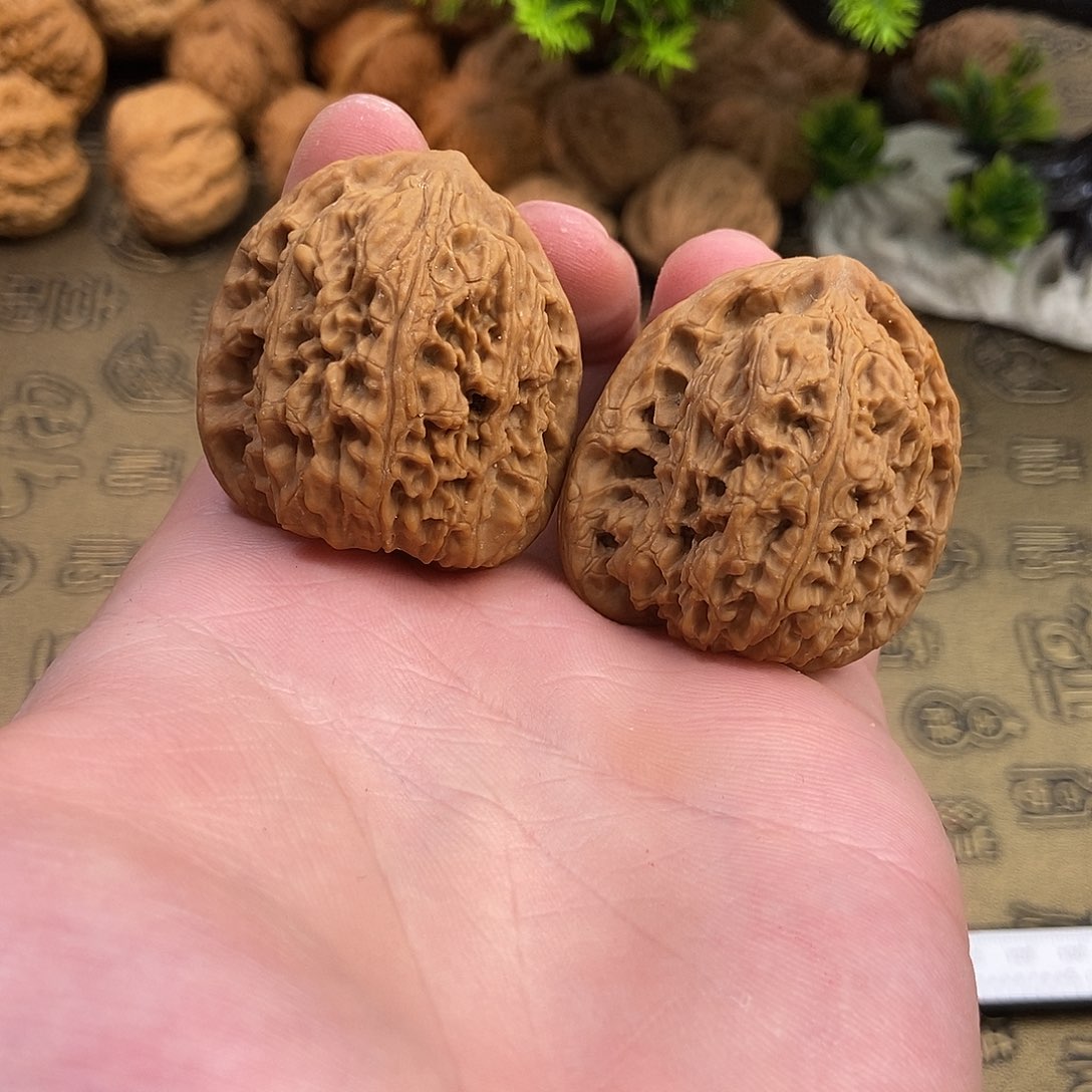 核桃南疆石38尺寸编号139骨质硬