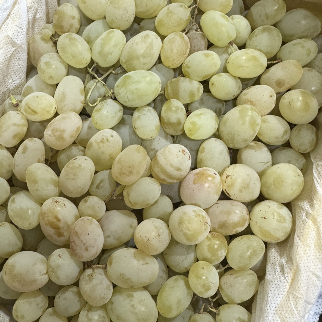 【京东顺丰次日达】新疆棉花糖葡萄香甜爆汁脆爽Q弹 1件5斤起 辽宁发货新疆维吾尔自治区