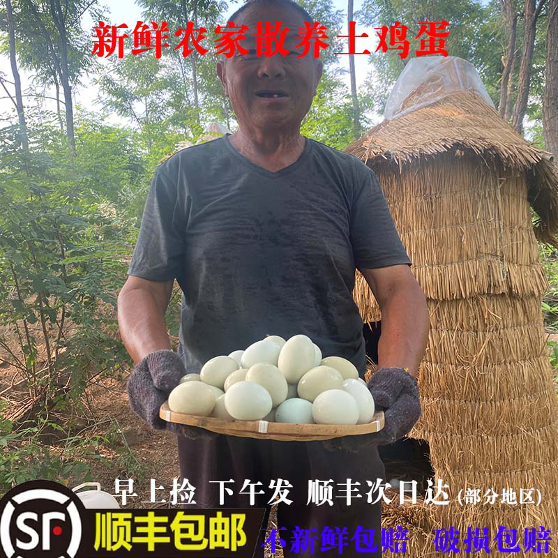 40枚土鸡蛋 绿壳 现捡现发 破损包赔