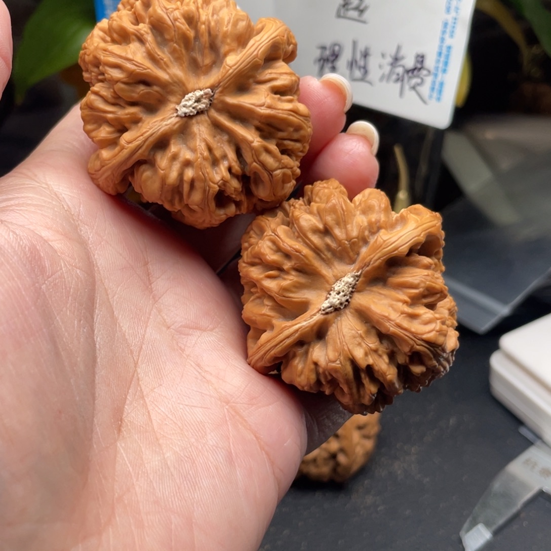 文玩核桃吊坠粗筋