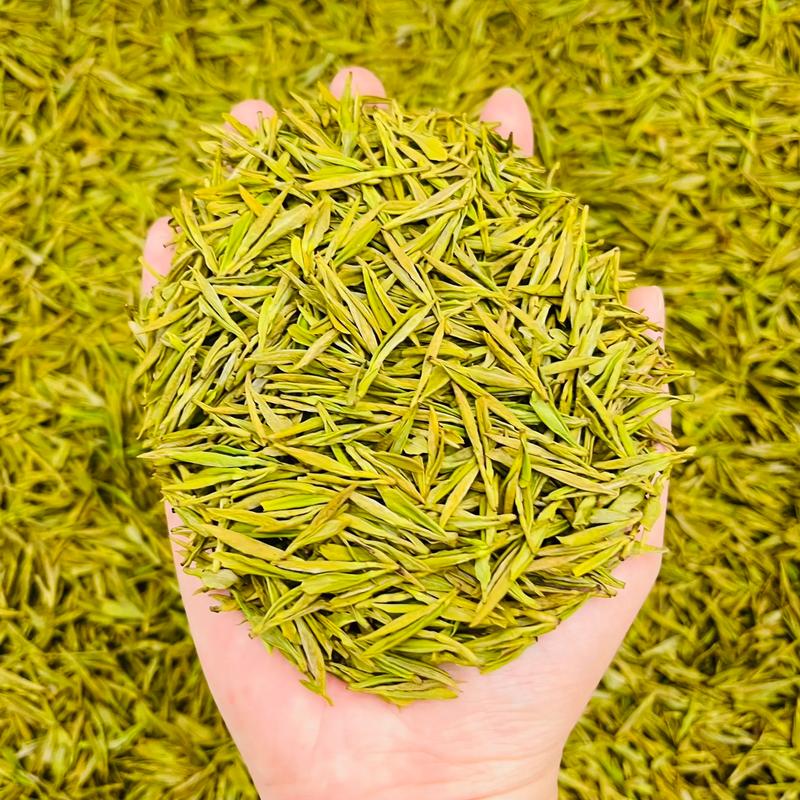 徽匠茶业新茶春茶特级送礼黄金茶罐装黄金芽礼盒装豆香味回