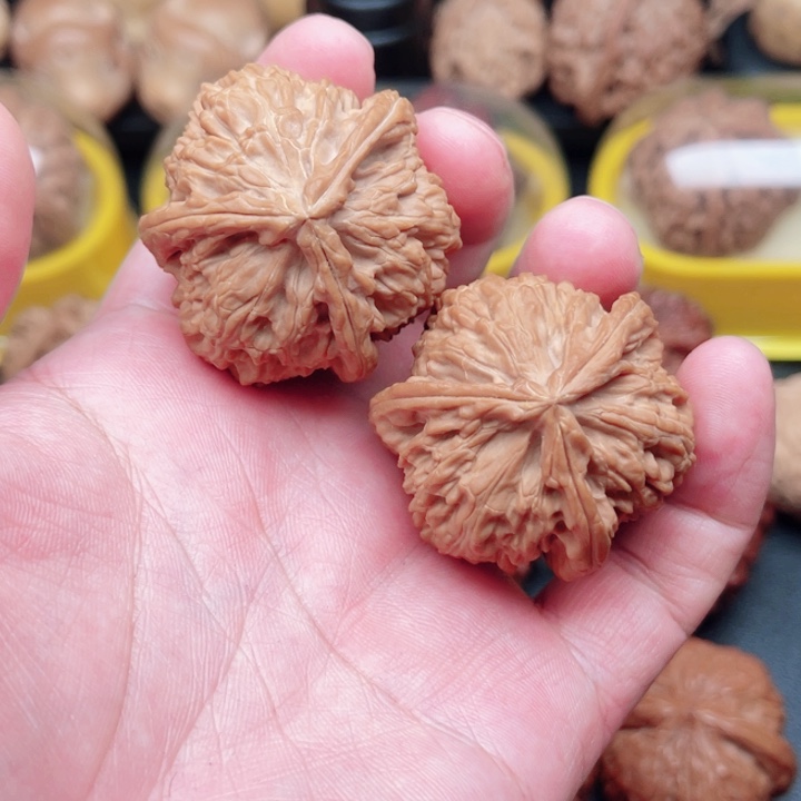 文玩核桃把件三角白狮子三棱40.5×40×40