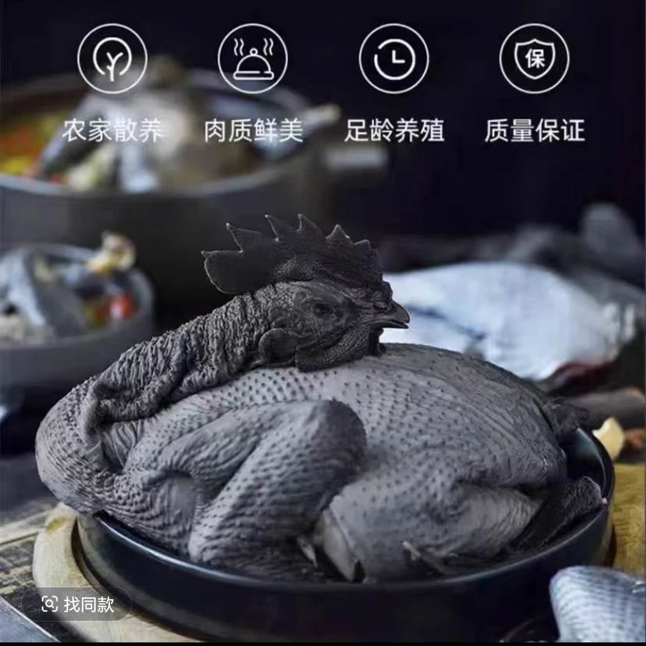 散养五黑鸡山林走地鸡绿壳蛋鸡乌骨鸡肉质鲜美