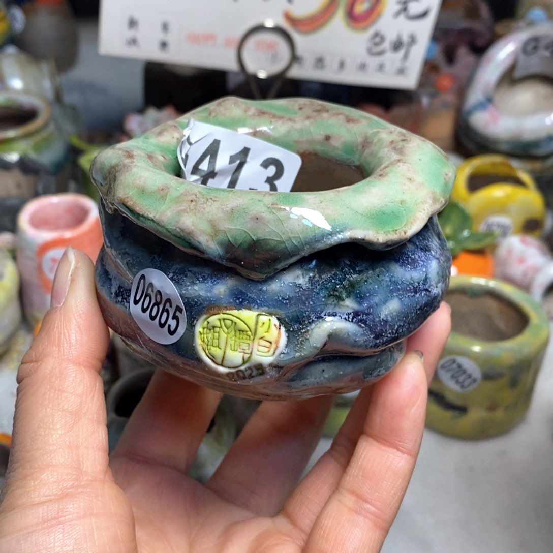 刘*菡拍3送一个小礼物元旦快乐花盆