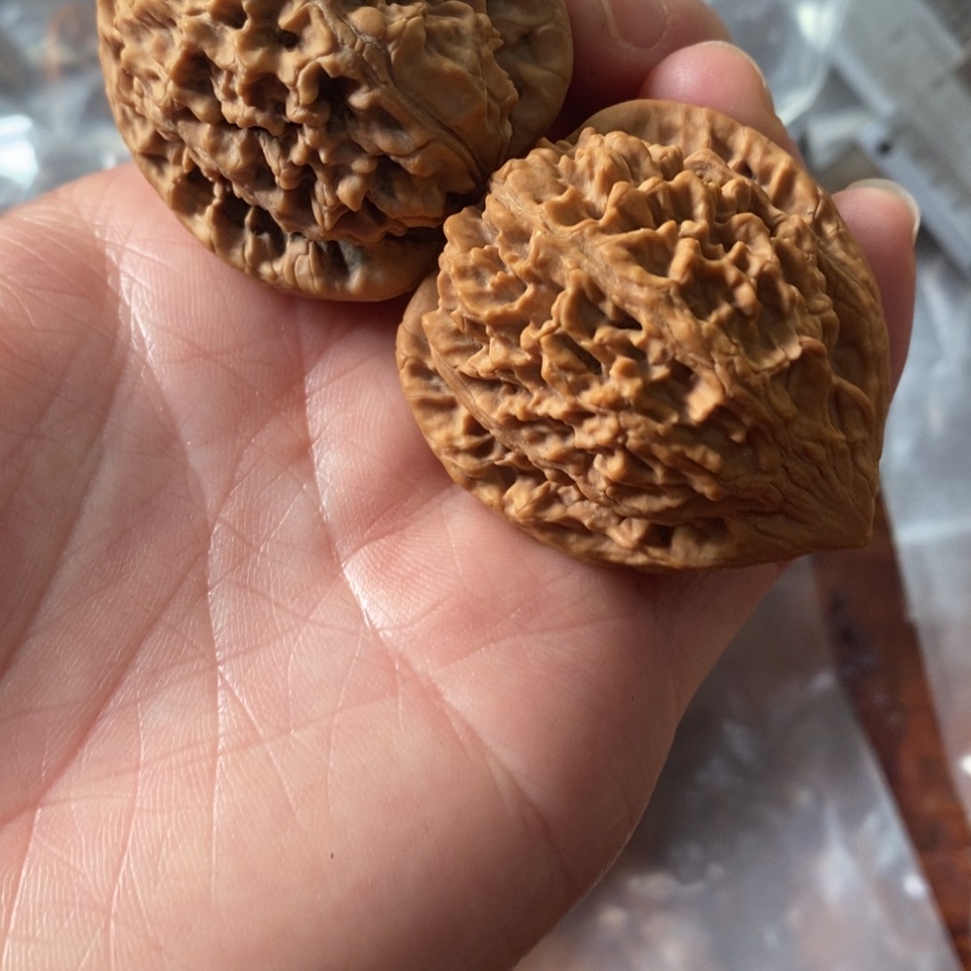秦岭野生核桃鸡心