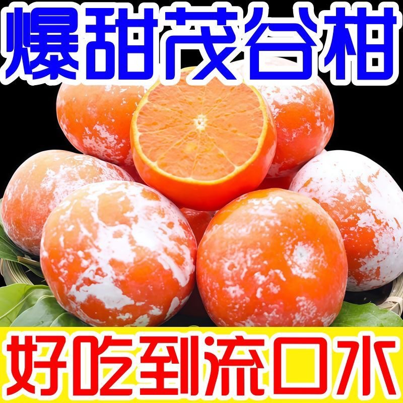 广西武鸣茂谷柑新鲜大果沃柑10斤柑橘桔子石灰柑爆汁水果脏脏柑甜