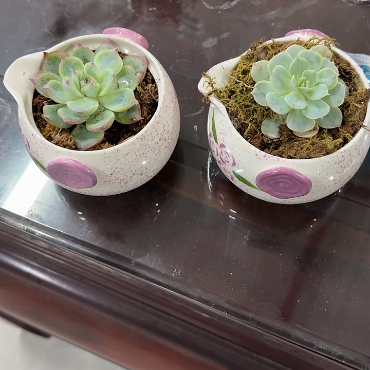 佳哭哭了了了了出来出来出来了