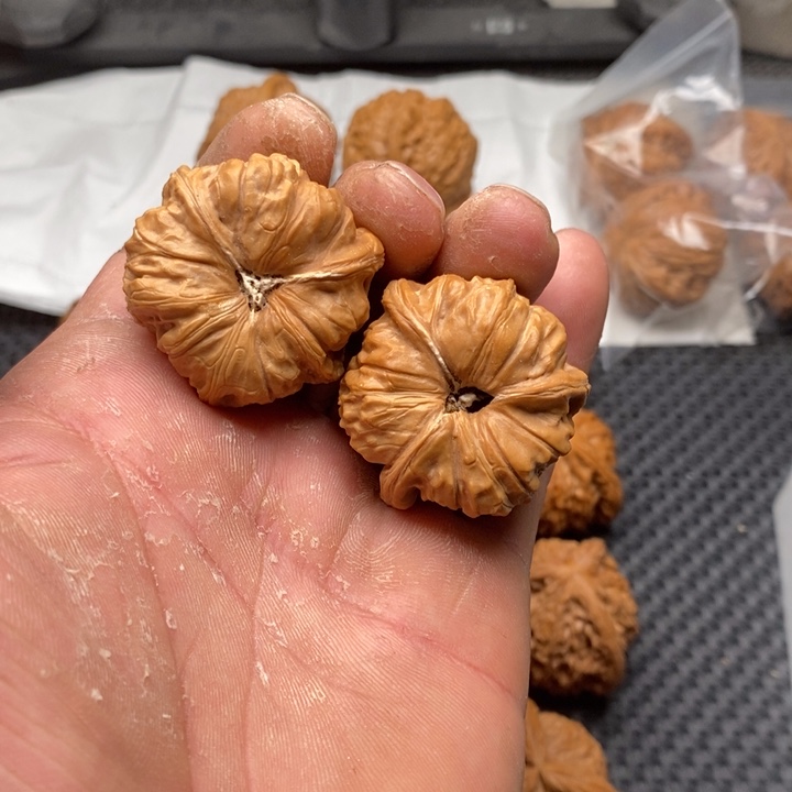 核桃把件拼接南瓜6