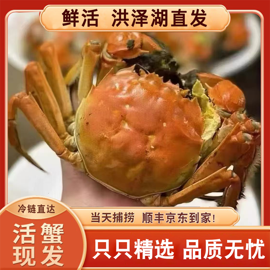 【活蟹】全公蟹4.0两-3.7两10只8只6只装江苏大闸蟹礼盒装