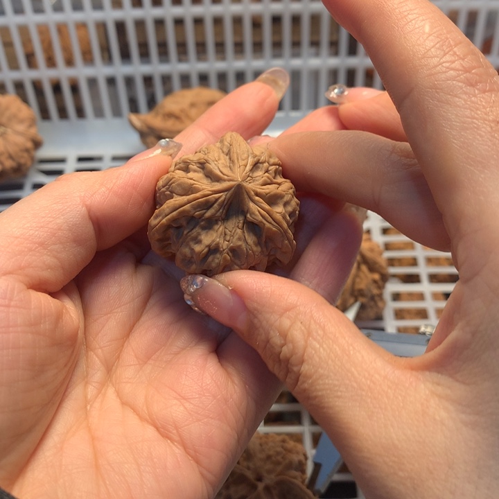 乱***糟把件文玩核桃核桃