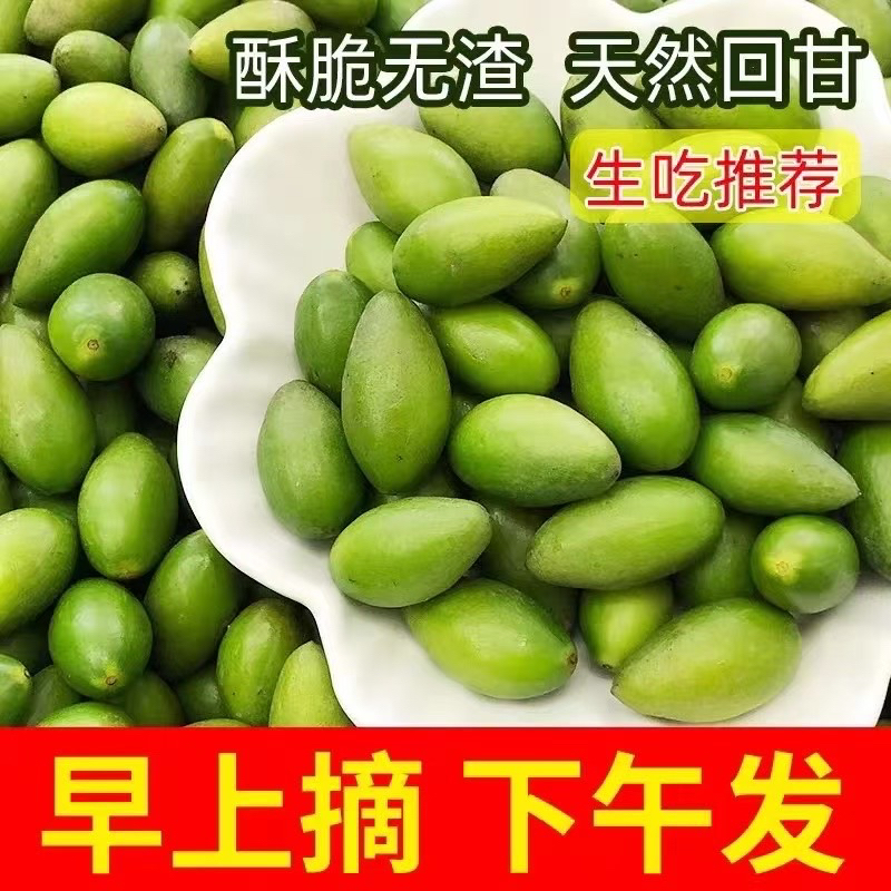 青橄榄新鲜现摘清香回甘