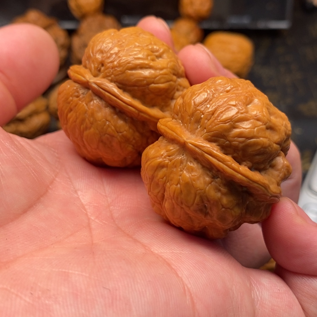 傈***余文玩核桃把件老树金蝉