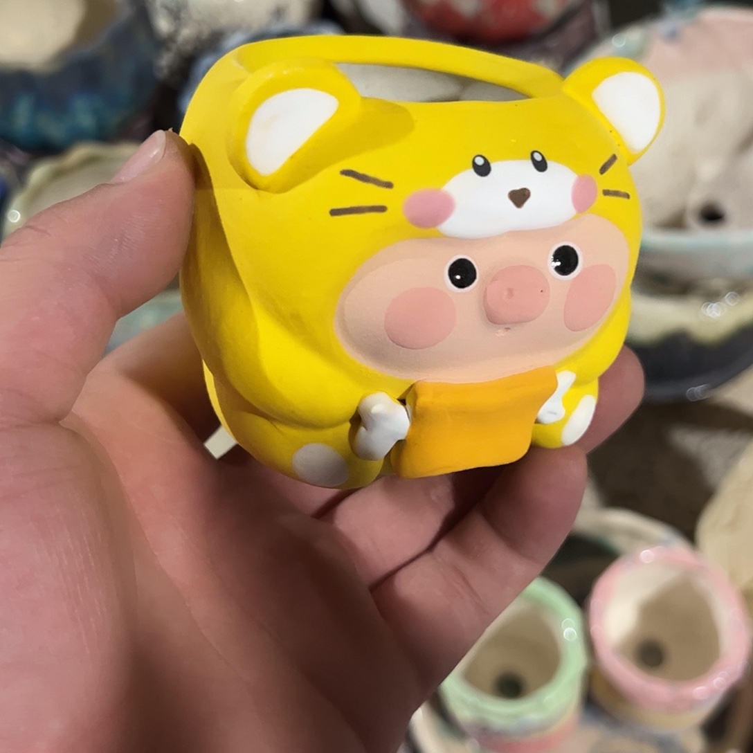 特价福利满百包邮瑕疵不售后