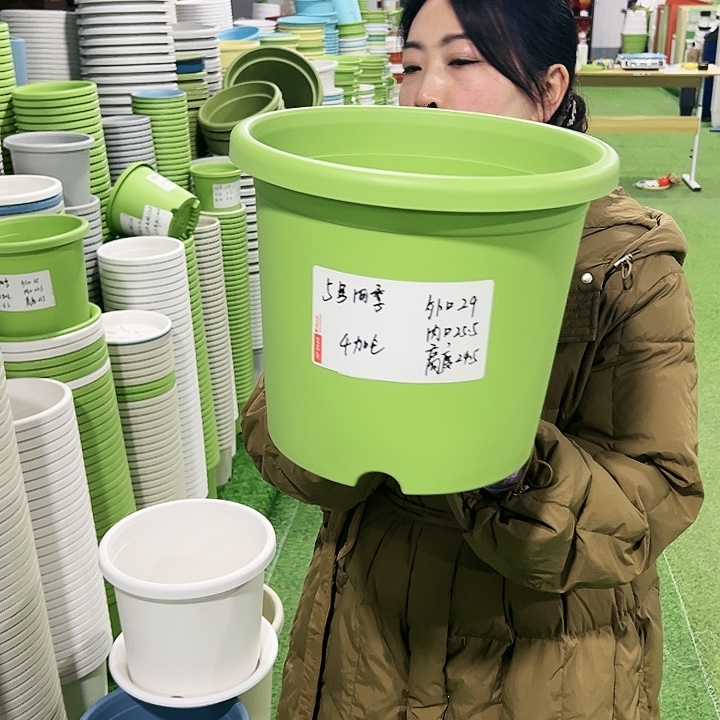 特价5号四季口29高24.5白色5只无托