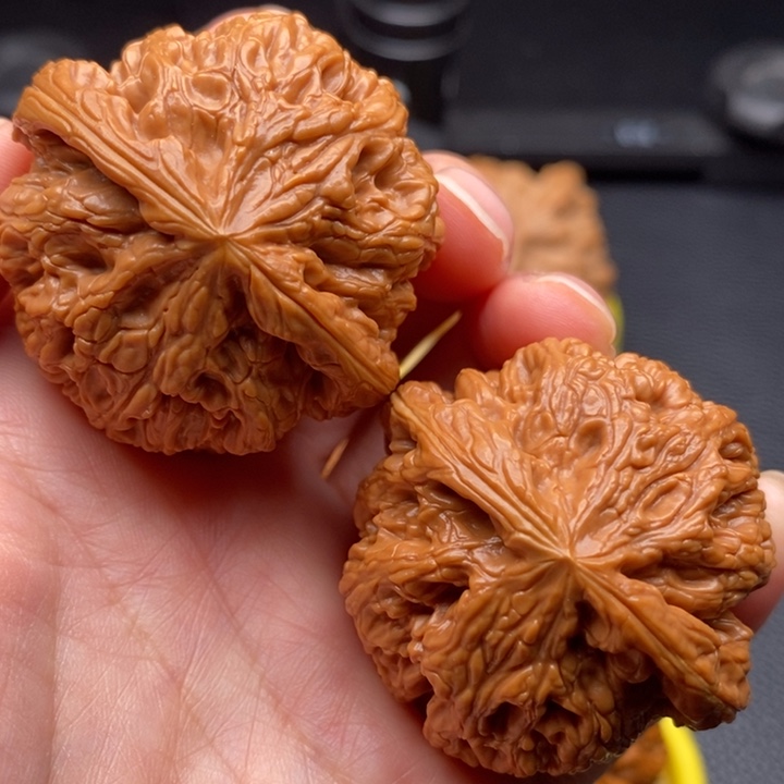 木质类粗筋尺寸44