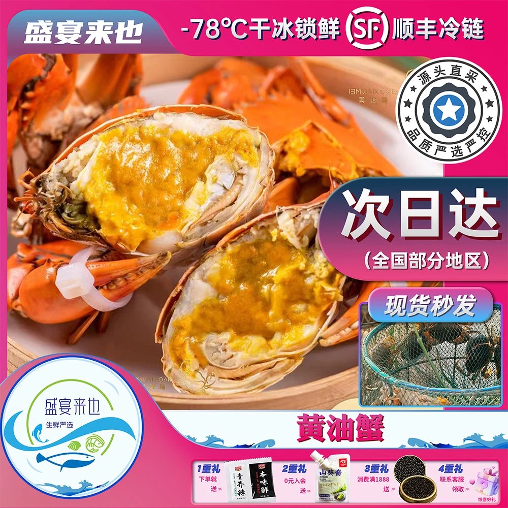 【活蟹现发】高品质鲜活黄油蟹 正宗老广味道 广东原产地顺丰发货