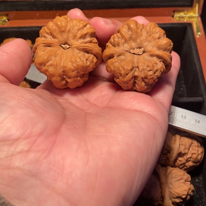 文玩核桃吊坠べ**の00000240