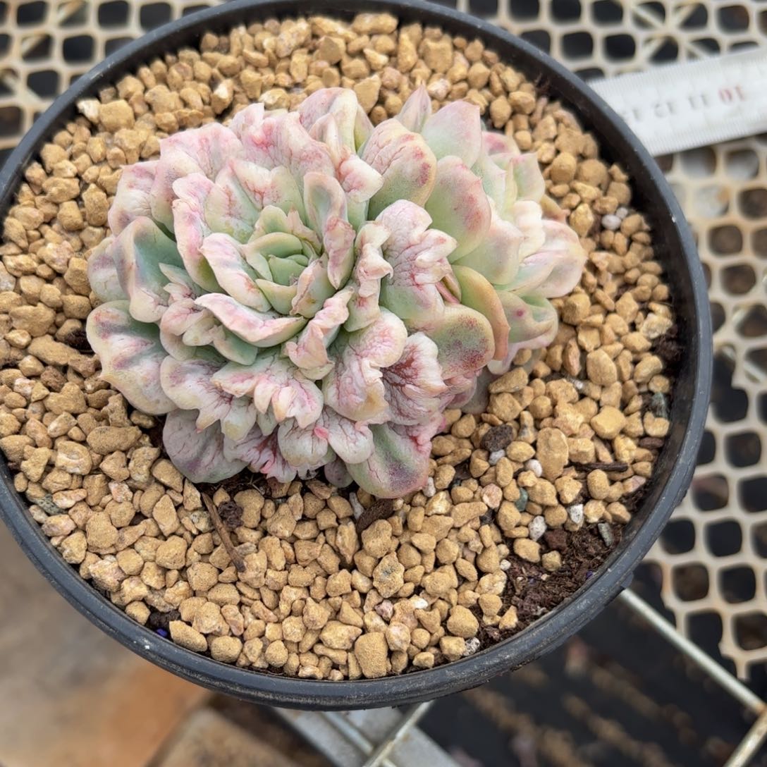 啵****哈哈哈哈举办哈哈不好哈哈吧