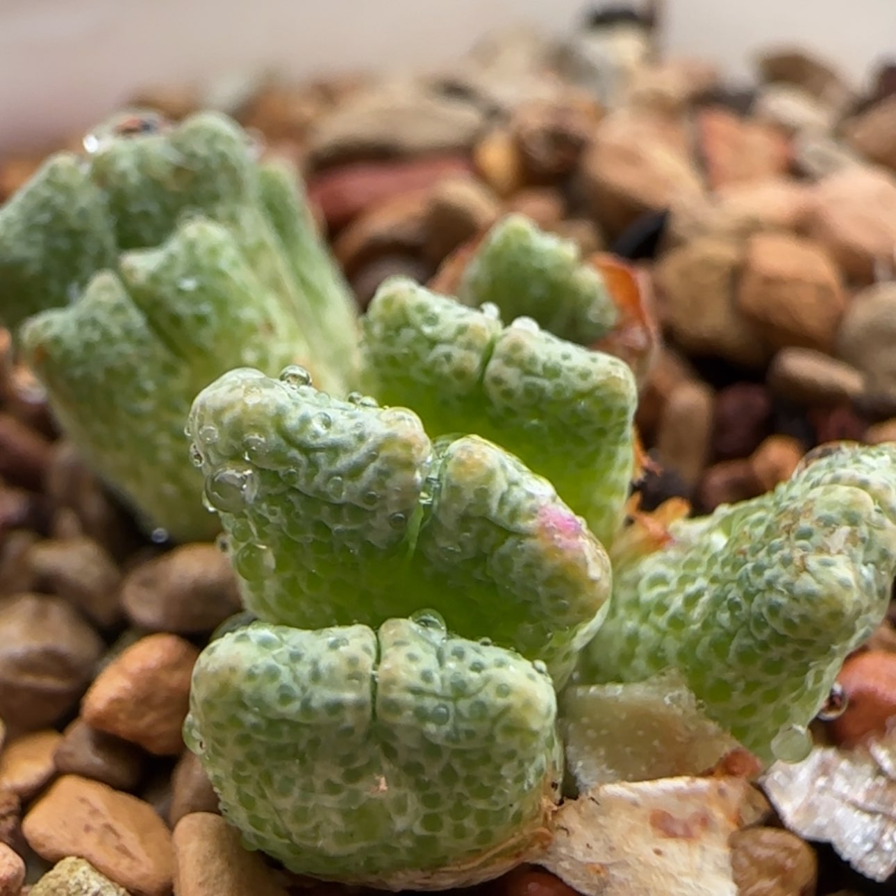 【闪购商品】8960     