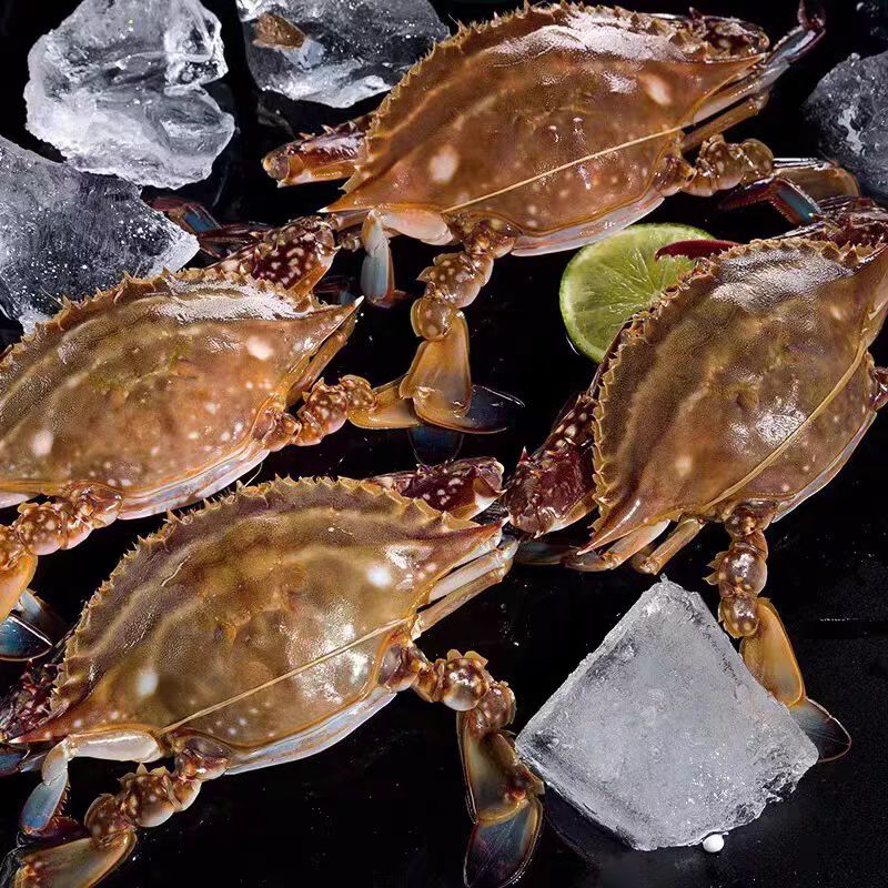 【福利】鲜活梭子蟹 （1斤8只左右）保鲜不保活，少腿属于正常