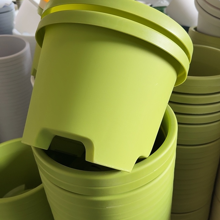 球根32口径5个无托果绿